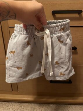 Jamie Kay Light Blue Fox Print Drawstring Shorts